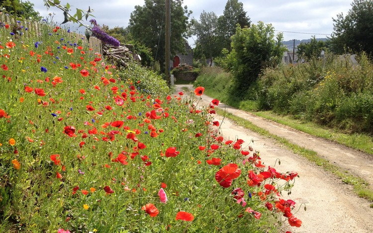 Le chemin qui mne  l'Atelier