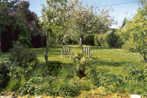 Garten von Ty Losket